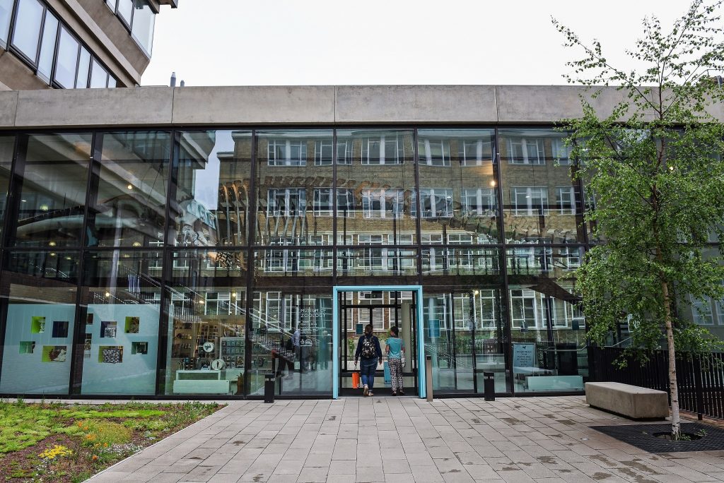 Museum of Zoology
