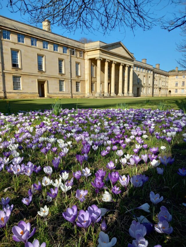 Downing College Spring Garden Tour with Afternoon Tea