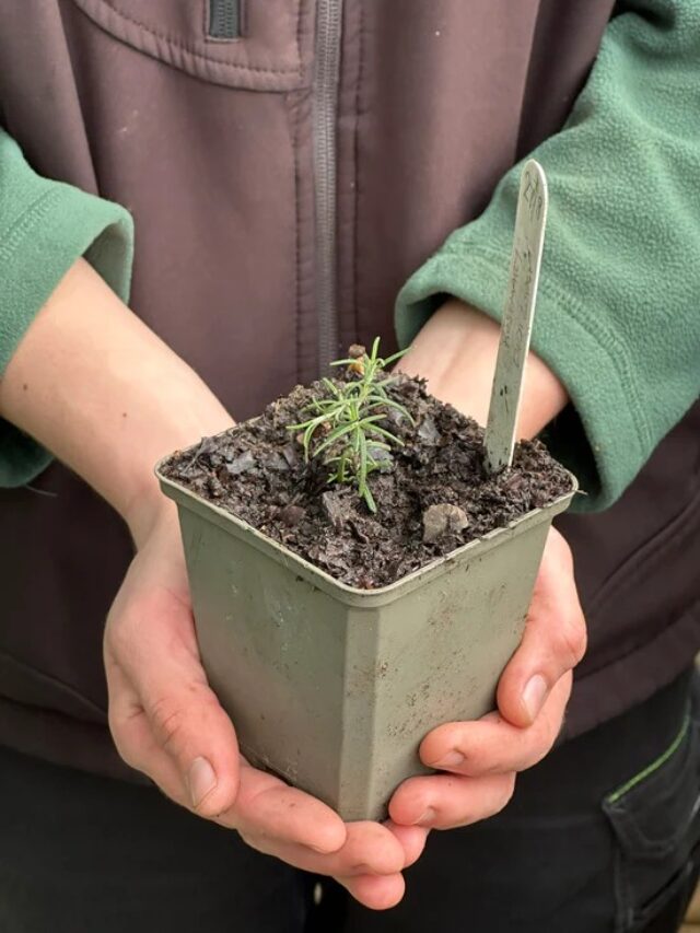Propagation Workshop Downing College