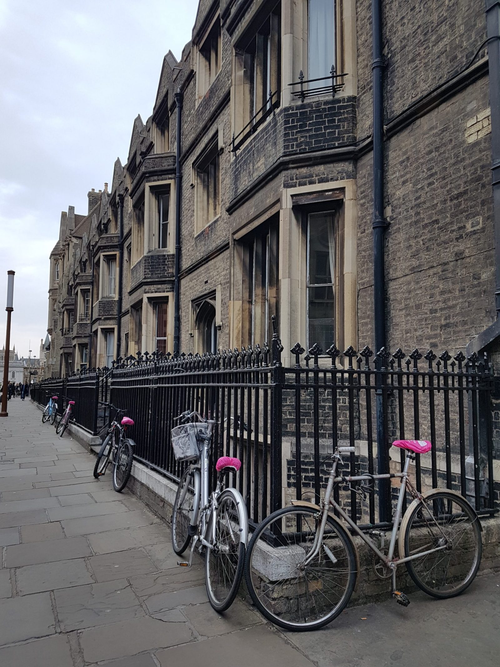 Bicycle Shops & Repairs