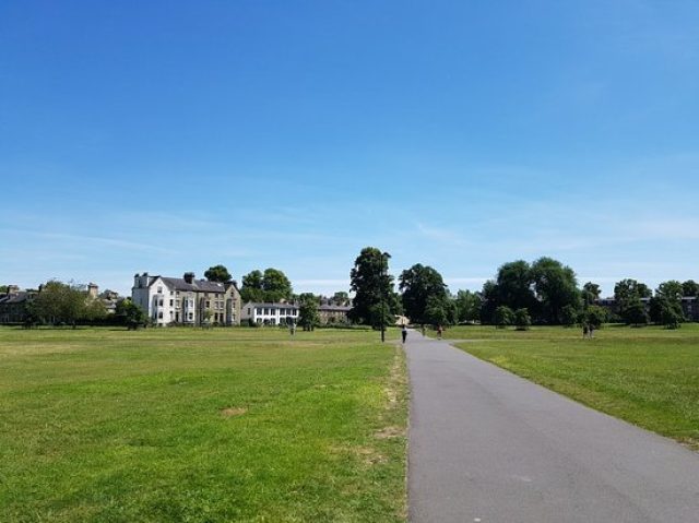 Midsummer Common