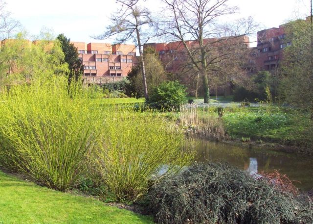 Robinson College – University of Cambridge